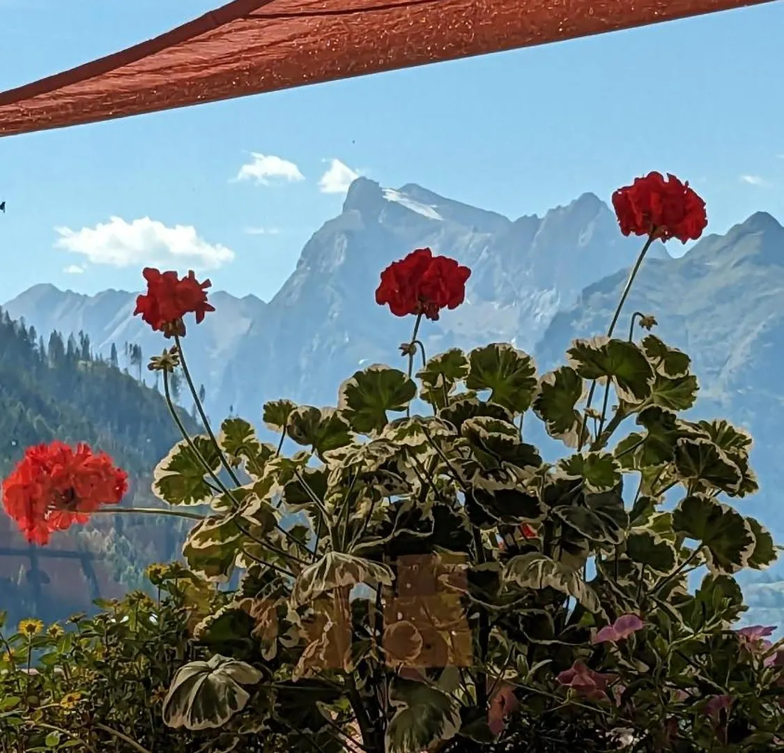 Hotel Ca' Del Bosco Сельва-ди-Кадоре