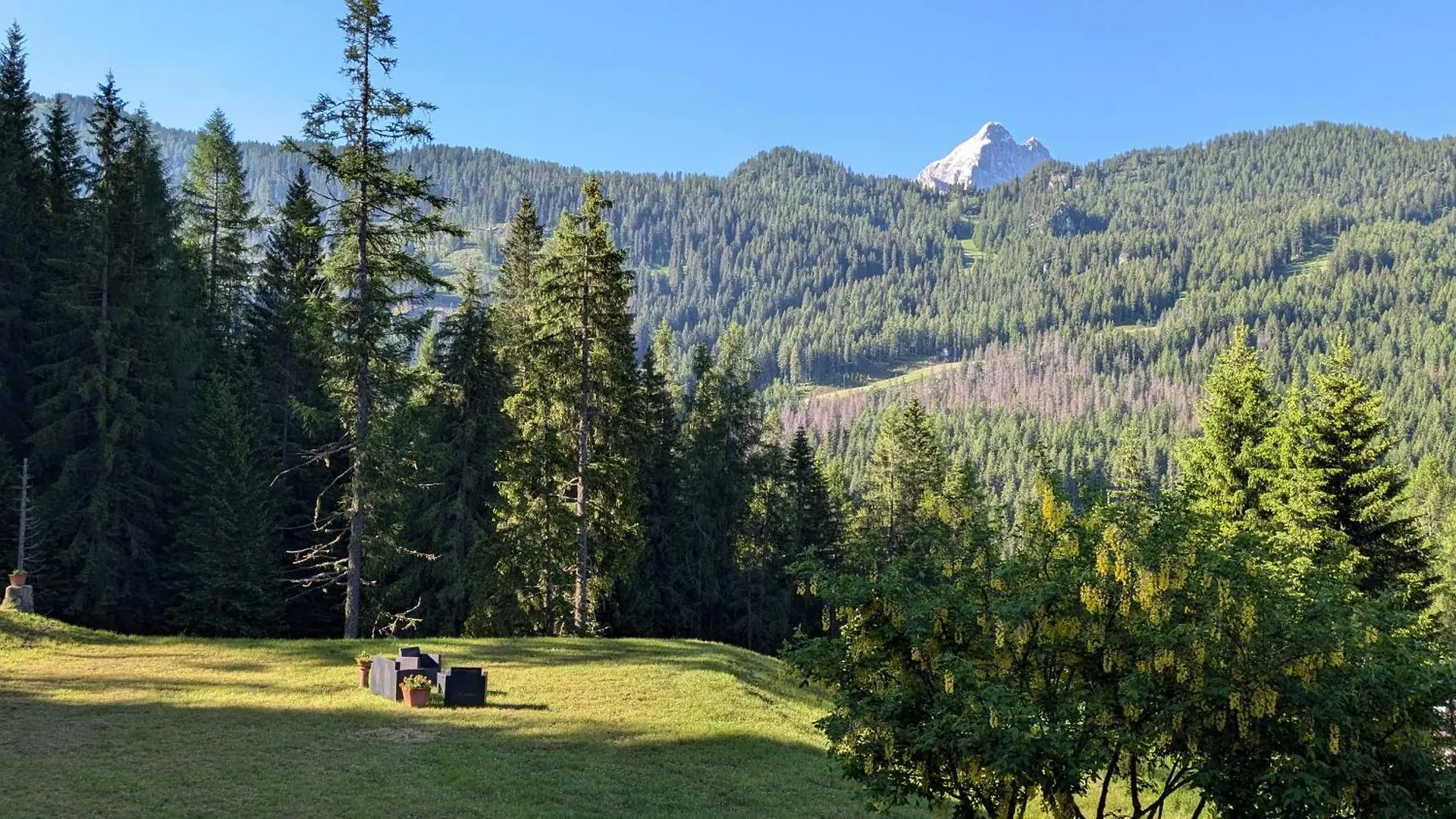 Hotel Ca' Del Bosco Сельва-ди-Кадоре